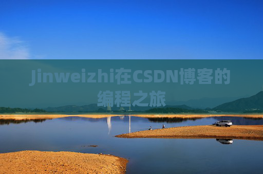 Jinweizhi在CSDN博客的编程之旅